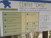 Centro Emys - Centro per l'allevamento e la reintroduzione in natura della testuggine palustre
