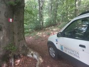 Lavori di manutenzione straordinaria della rete sentieristica “Bormida Natura” e “Terre Alte” e conservazione della biodiversità nella Riserva naturale regionale dell’Adelasia