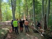 Incontro del 3 giugno 2026