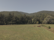 “La Liguria degli Anelli”: due nuovi percorsi cicloturistici per scoprire il Savonese tra mare, montagne e borghi “La Liguria degli Anelli”: due nuovi percorsi cicloturistici per scoprire il Savonese tra mare, montagne e borghi