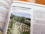 RaFFLIGURIA 2025 - Regione Liguria