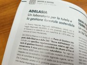 RaFFLIGURIA 2025 - Regione Liguria