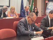 Consiglio Provinciale del 30 luglio Consiglio Provinciale del 30 luglio