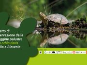 Progetto Life Urca Proemys Progetto Life Urca Proemys