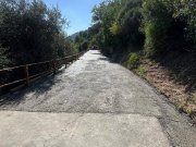 SP 18 "Alassio-Moglio-Testico"