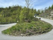 Sopralluogo Valle Erro relativo agli interventi di bitumatura in programma