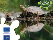 Progetto Life Urca Proemys Progetto Life Urca Proemys