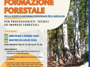 Formazione Forestale per Professionisti, Tecnici ed Imprese Forestali presso la Riserva Naturale Regionale dell'Adelasia Formazione Forestale per Professionisti, Tecnici ed Imprese Forestali presso la Riserva Naturale Regionale dell'Adelasia