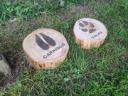 Sentiero didattico "I Segreti del Bosco" presso la Riserva Naturale Regionale Adelasia