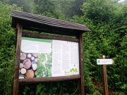 Sentiero didattico "I Segreti del Bosco" presso la Riserva Naturale Regionale Adelasia