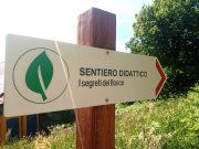 Sentiero didattico "I Segreti del Bosco" presso la Riserva Naturale Regionale Adelasia