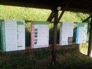 Sentiero didattico "I Segreti del Bosco" presso la Riserva Naturale Regionale Adelasia