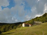 Riserva Naturale Regionale Adelasia