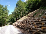 Valutazione di Incidenza