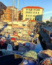 #sealife Darsena di Savona (Ph: Flavia Minetto)