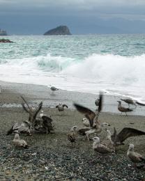 Mare (Ph: Franco Chiara)