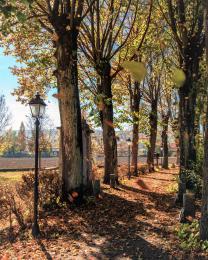 Autunno a Sassello (Ph: Franco Galatolo)