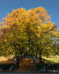 Autunno a Sassello (Ph: Franco Galatolo)