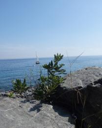 Varazze - passeggiata europa (Ph: Silvia Bracco)