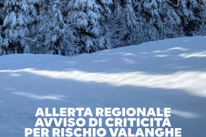 Allerta Regionale