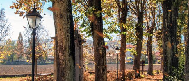 Autunno a Sassello (Ph: Franco Galatolo)