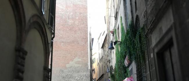 Savona (Ph: Provincia di Savona)