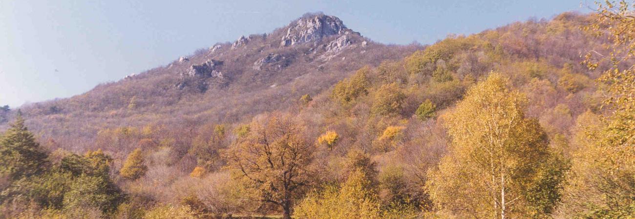 Area protetta Provinciale Rocca Barbena (Ph: Archivio Provincia Savona)