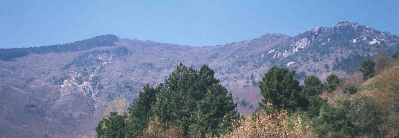 Area protetta Provinciale Rocche Bianche (Ph: Archivio Provincia Savona)