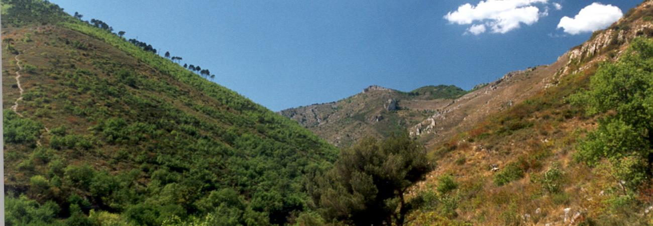 Area protetta Provinciale Poggio Grande, Monte Acuto, Valle Rio Ibà (Ph: Archivio Provincia Savona)