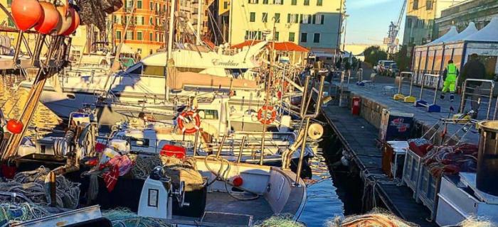 #sealife Darsena di Savona (Ph: Flavia Minetto)