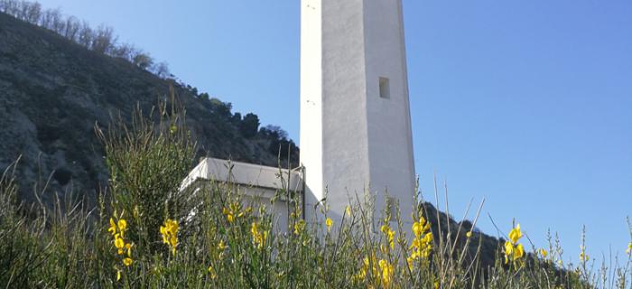 Il Faro di Vado Ligure (Ph: Piera Squarci)