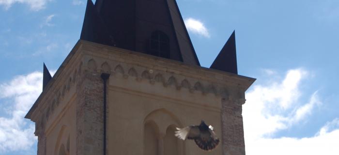 Campanile Santa Caterina, Finalborgo (Ph: Franco Chiara)