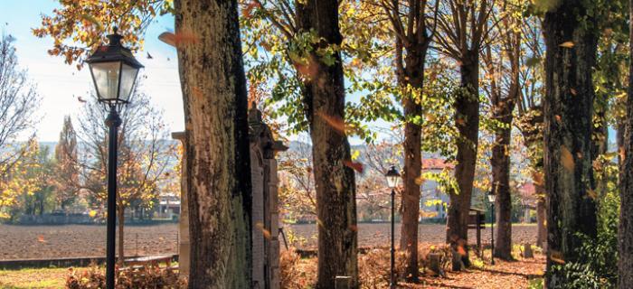 Autunno a Sassello (Ph: Franco Galatolo)