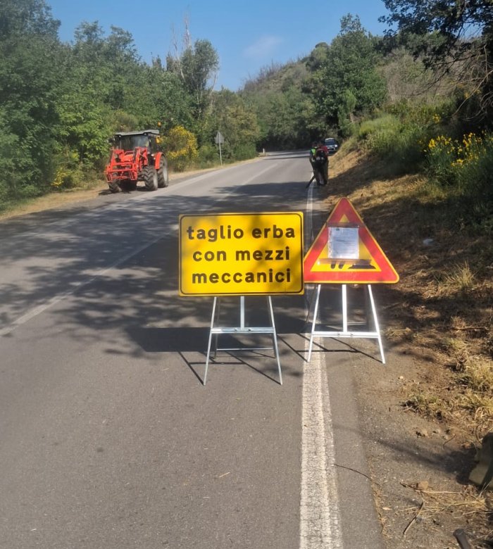 Strade provinciali, al via gli sfalci: cresce il ruolo dei Comuni nella gestione operativa degli interventi Strade provinciali, al via gli sfalci: cresce il ruolo dei Comuni nella gestione operativa degli interventi