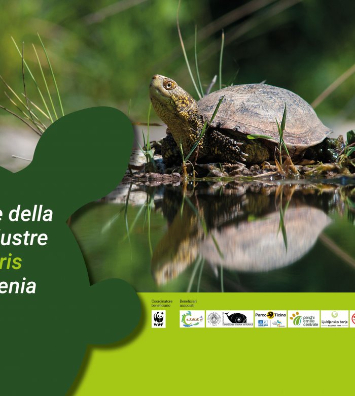 Progetto Life Urca Proemys Progetto Life Urca Proemys