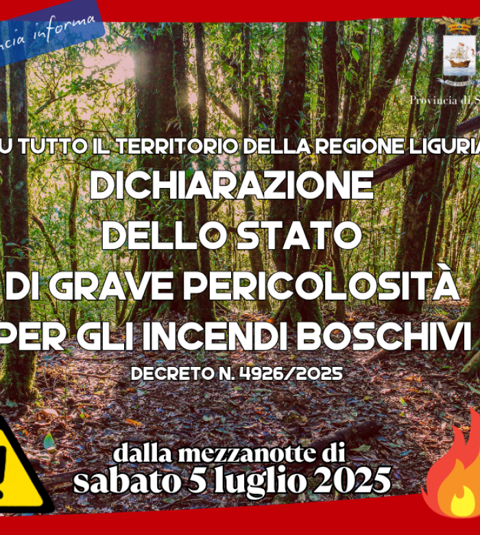 Dichiarazione dello stato di grave pericolosità per gli incendi boschivi 