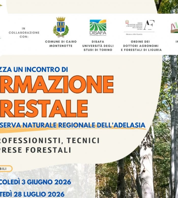 Formazione Forestale per Professionisti, Tecnici ed Imprese Forestali presso Formazione Forestale per Professionisti, Tecnici ed Imprese Forestali presso