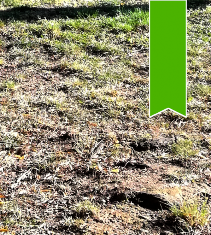 Avviso di alienazione terreno di proprietà Provinciale situato nel Comune di Carcare