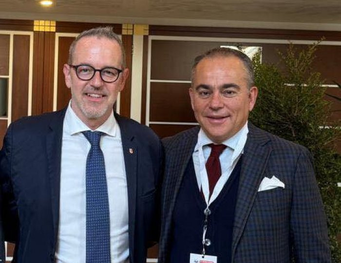 Comitato Direttivo dell’UPI (Unione delle Province d’Italia)