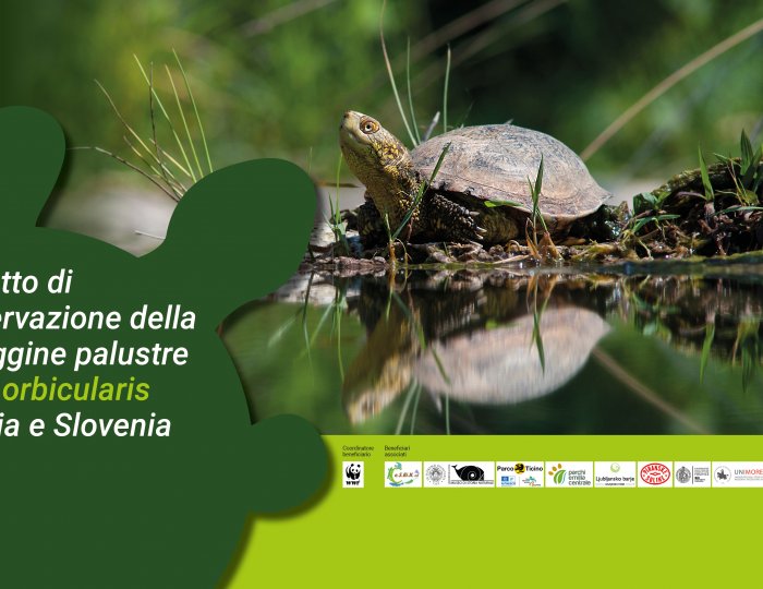Progetto Life Urca Proemys