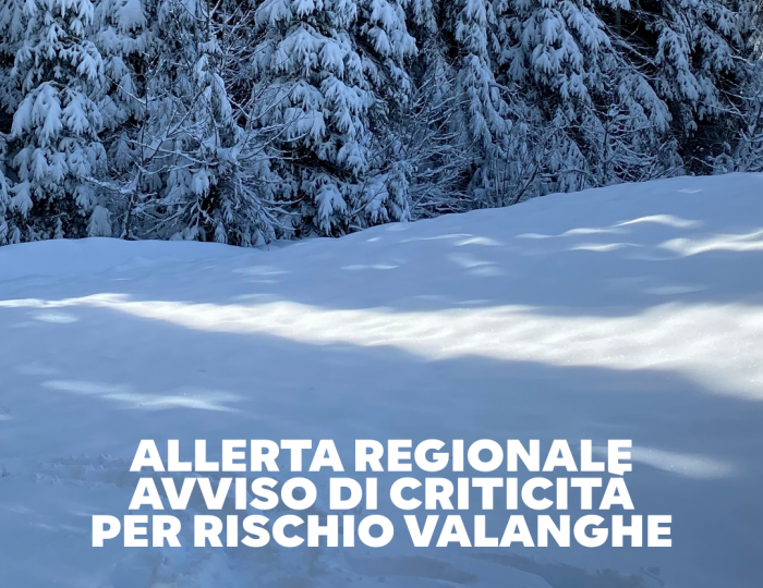 Allerta Regionale