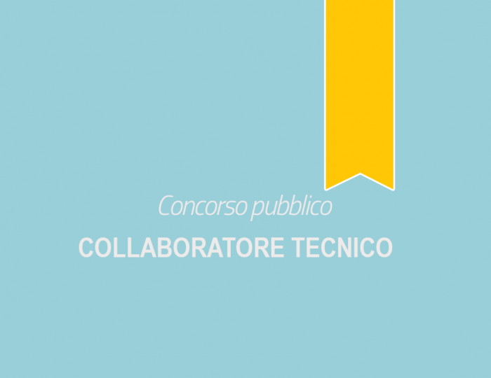 Collaboratore Tecnico Collaboratore Tecnico