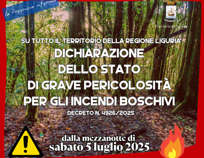 Dichiarazione dello stato di grave pericolosità per gli incendi boschivi 
