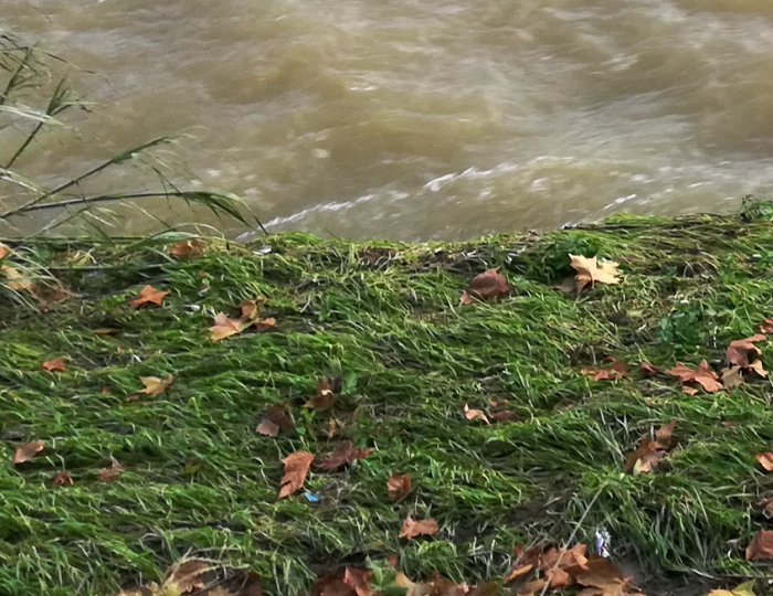 Eventi meteoclimatici eccezionali del novembre 2019, ordinanza per la gestione dell'emergenza rifiuti Eventi meteoclimatici eccezionali del novembre 2019, ordinanza per la gestione dell'emergenza rifiuti