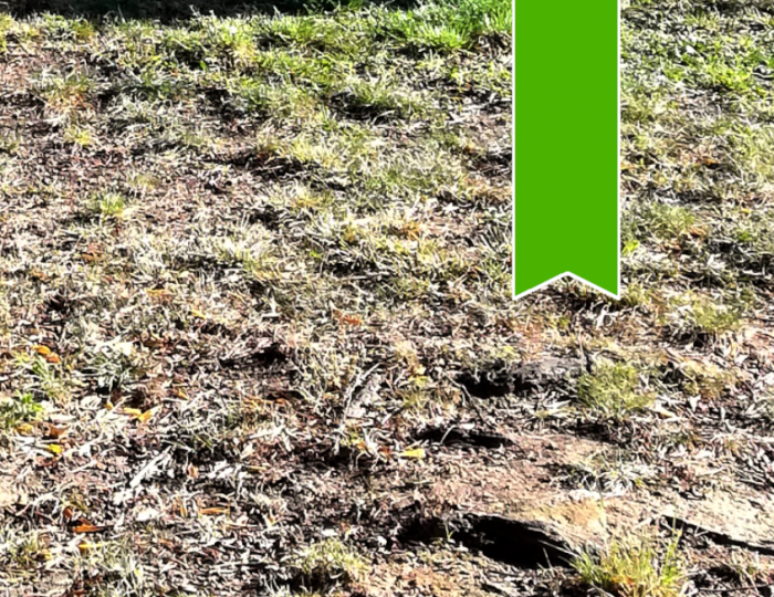 Avviso di alienazione terreno di proprietà Provinciale situato nel Comune di Carcare