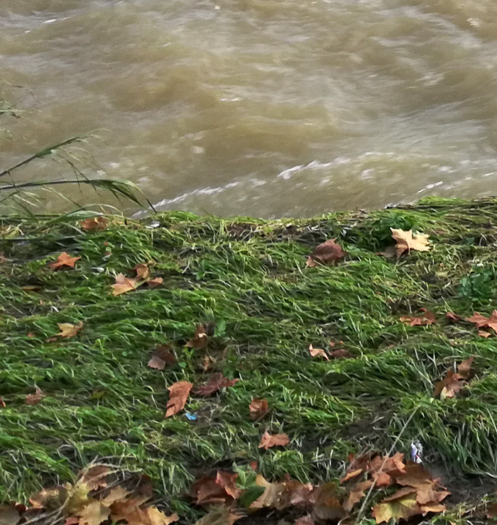 Eventi meteoclimatici eccezionali del novembre 2019, ordinanza per la gestione dell'emergenza rifiuti Eventi meteoclimatici eccezionali del novembre 2019, ordinanza per la gestione dell'emergenza rifiuti