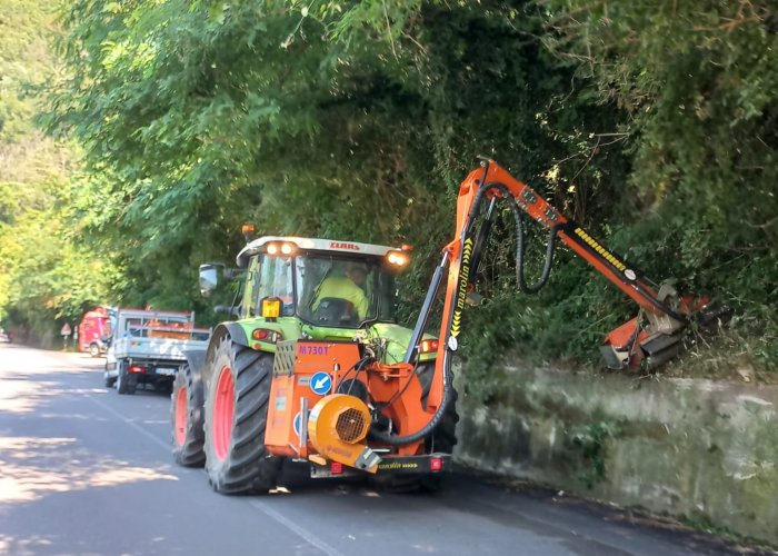 Interventi stagionali sfalcio erba