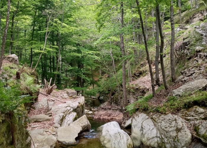 ZSC Monte Carmo - Monte Settepani (Ph: Provincia di Savona) ZSC Monte Carmo - Monte Settepani (Ph: Provincia di Savona)