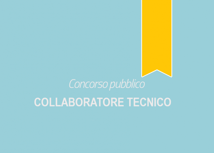 Collaboratore Tecnico Collaboratore Tecnico