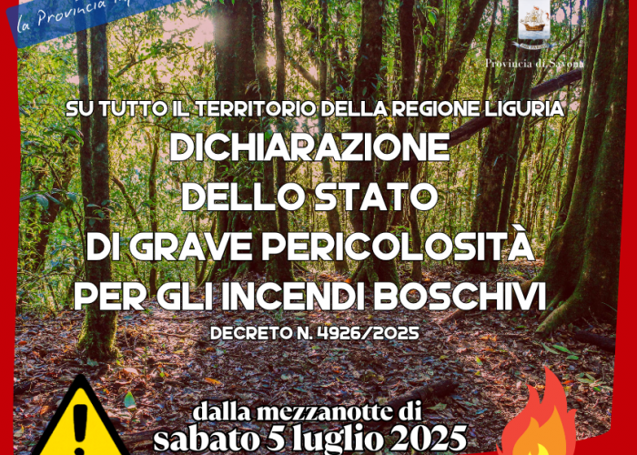 Dichiarazione dello stato di grave pericolosità per gli incendi boschivi Dichiarazione dello stato di grave pericolosità per gli incendi boschivi